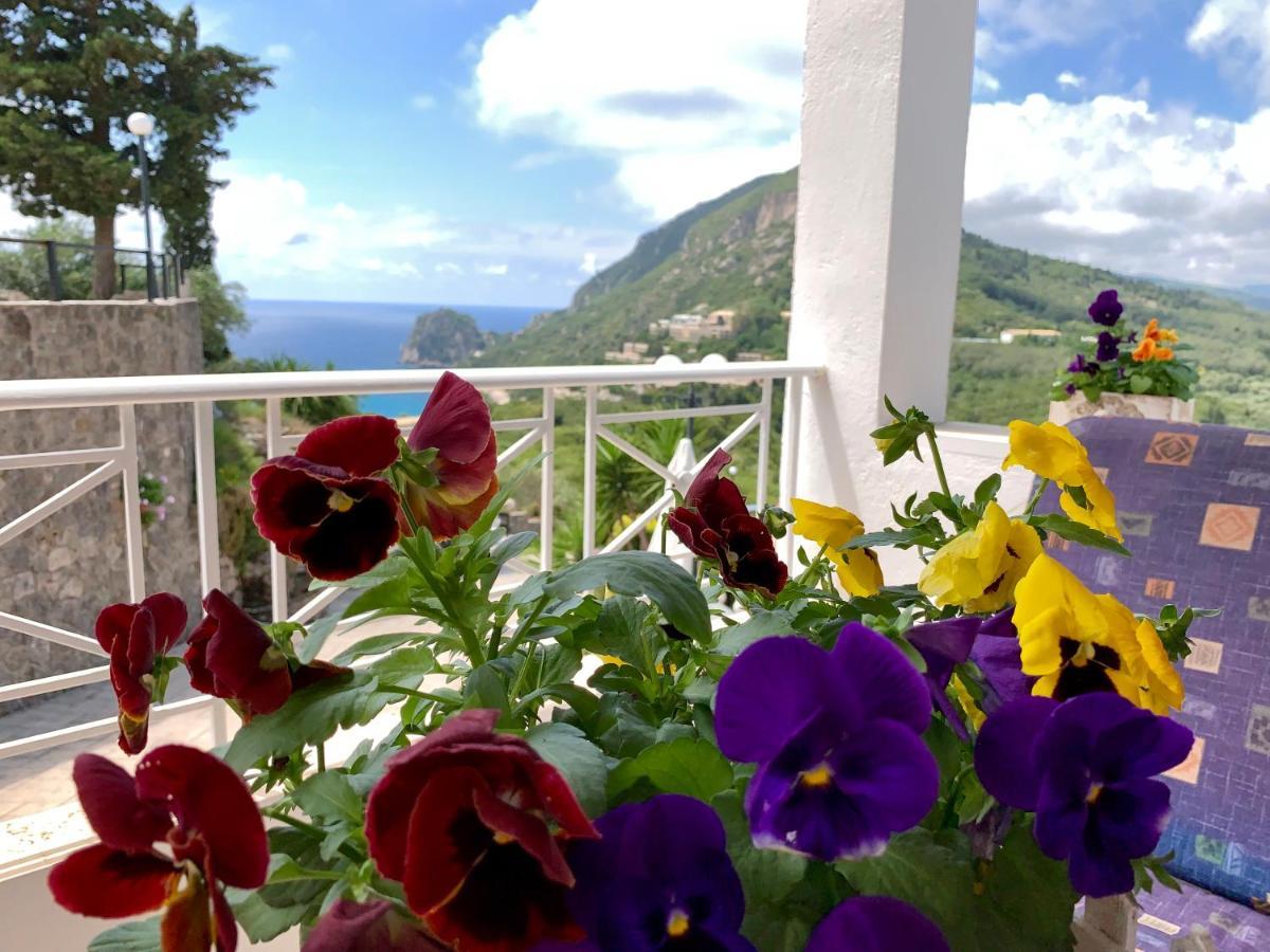 Ermones Diamond Villa Vatos Екстер'єр фото